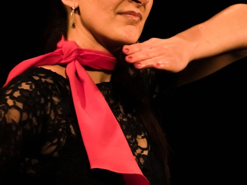 Flamenco Tanzshow